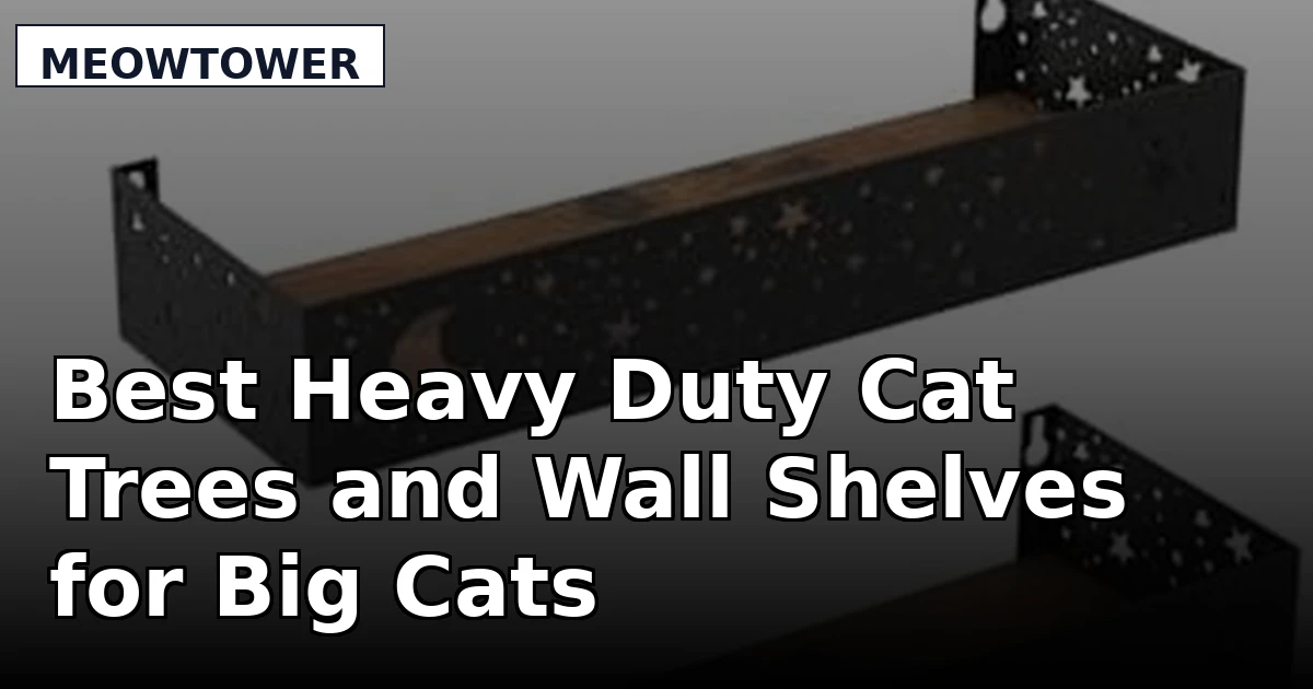 Best Heavy Duty Cat Trees and Wall Shelves for Big Cats