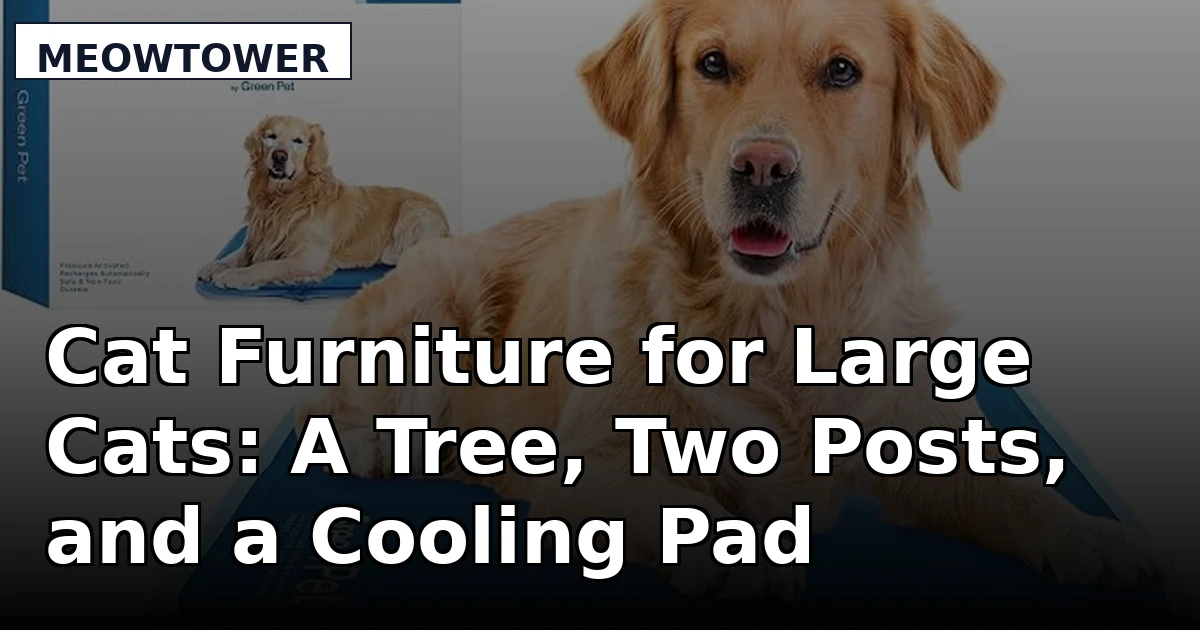 Cat Furniture for Large Cats: A Tree, Two Posts, and a Cooling Pad Compared