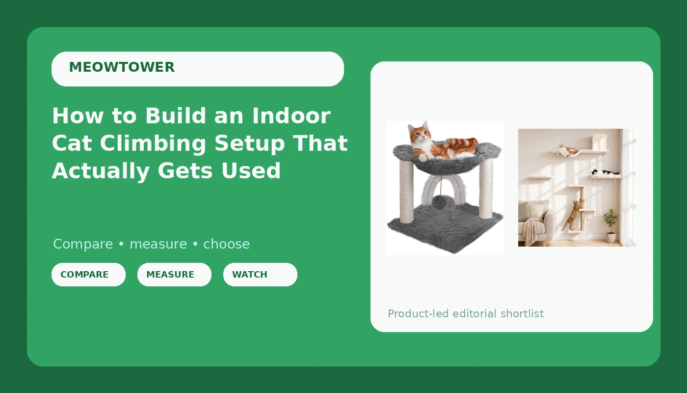 How to Build an Indoor Cat Climbing Setup That Actually Gets Used