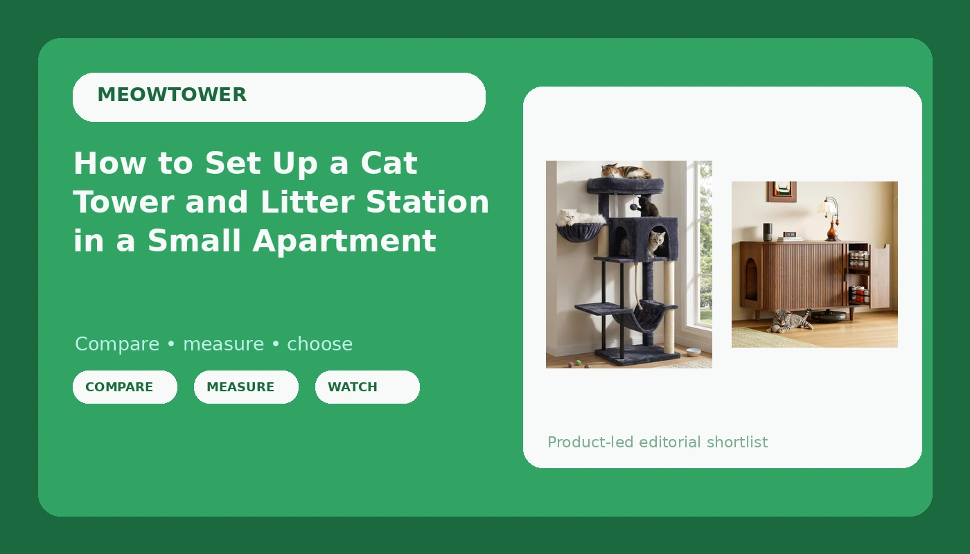 How to Set Up a Cat Tower and Litter Station in a Small Apartment