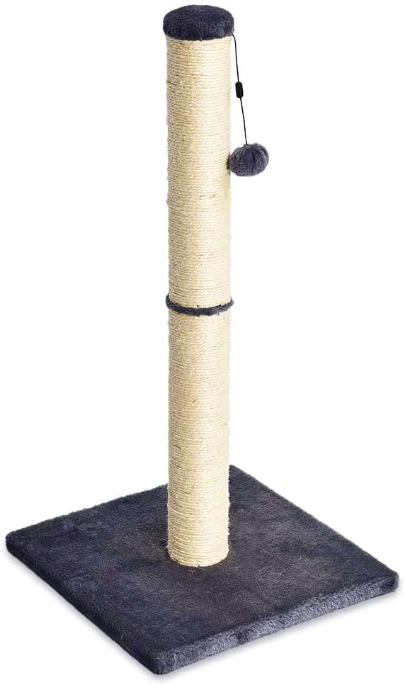 Amazon Basics Cat Scratching Post for Indoor Cats & Kittens, Medium (31.5"H), Cat Furniture with Dangling Ball Toy, Grey