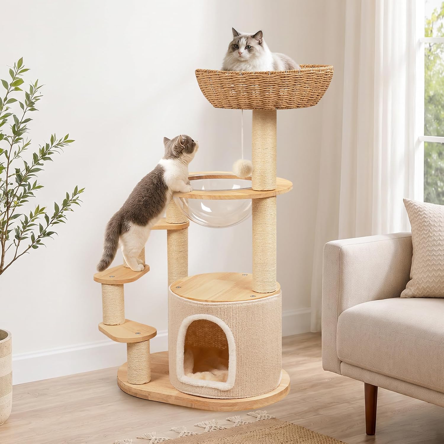 Solid Wood Cat Tree for Kitten & Munchkin, Modern Cat Tower with Low-Rise Steps